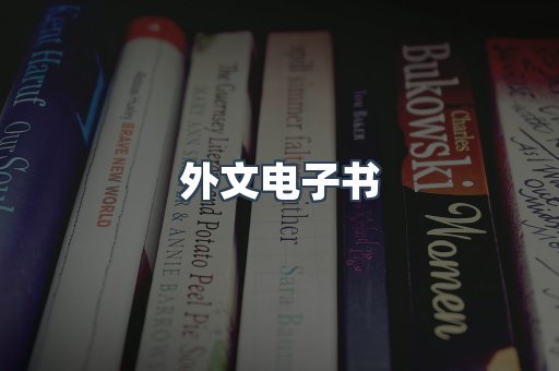 外文电子书